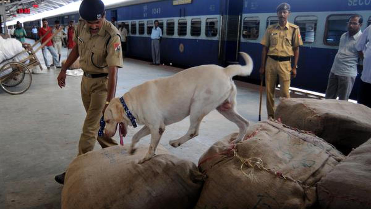 https://th-i.thgim.com/public/news/cities/mumbai/article19666724.ece/alternates/LANDSCAPE_1200/12BMRAILWAY