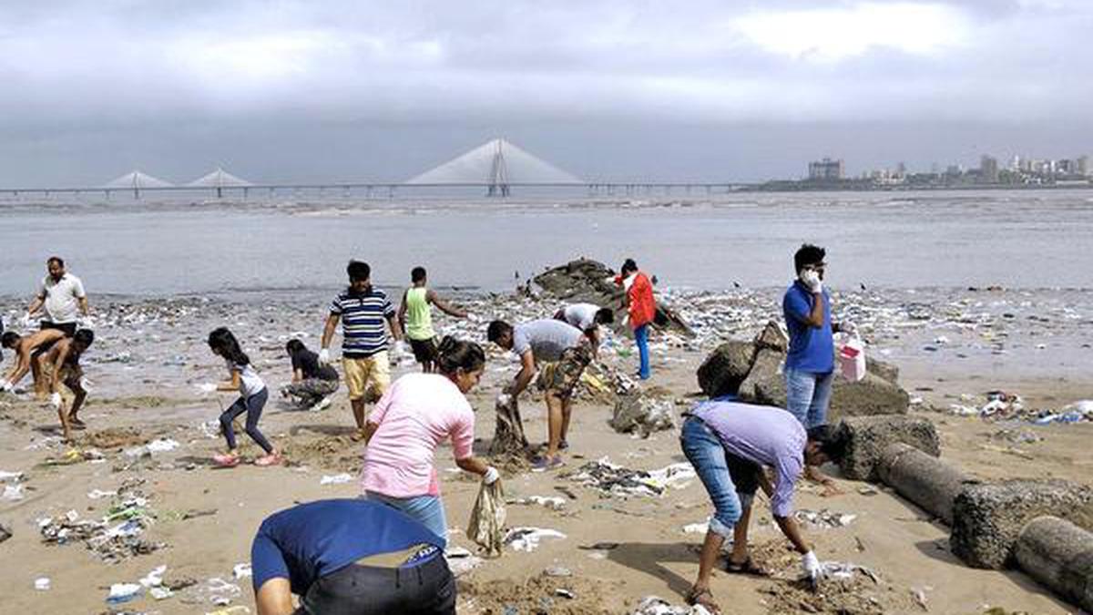 Reclaiming our beaches: clean-up drives gather momentum - The Hindu