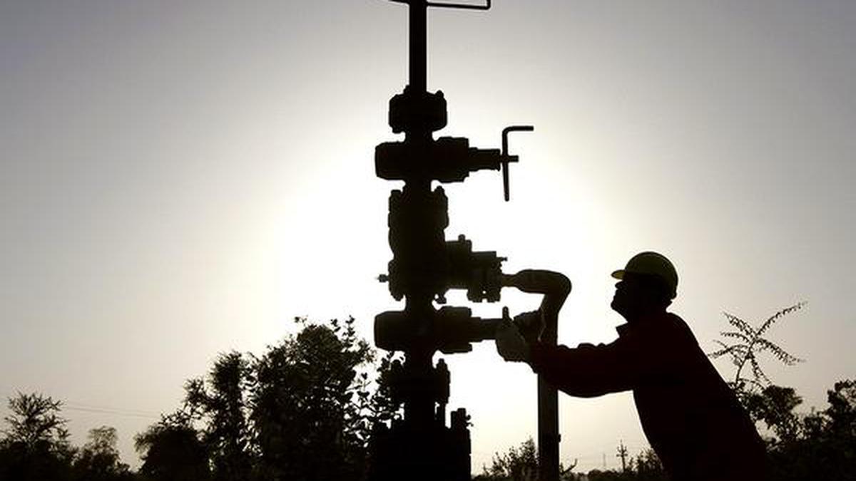 Companies line up ₹8,000 cr. for gas networks