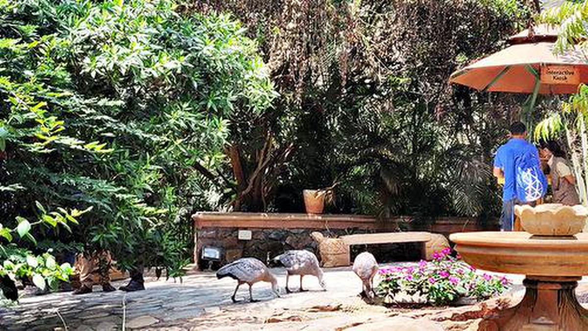 Essel World launches interactive bird park