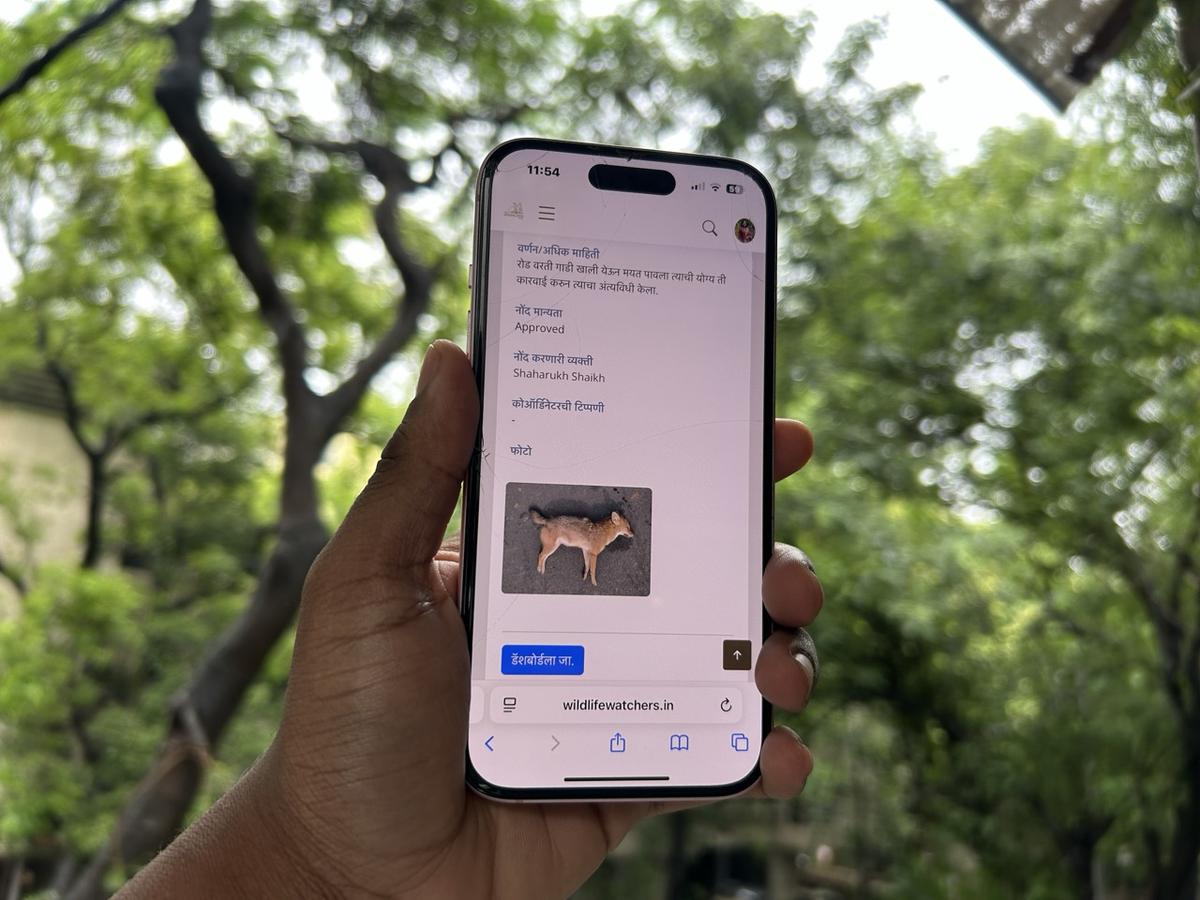 Wildlife Watchers send live updates through a mobile application for timely intervention on the spot. Wildlife Watchers send live updates through a mobile application for timely intervention on the spot.
