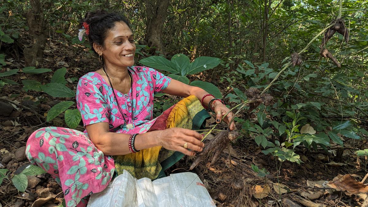 How to forage for lunch in Mumbai’s Aarey forest