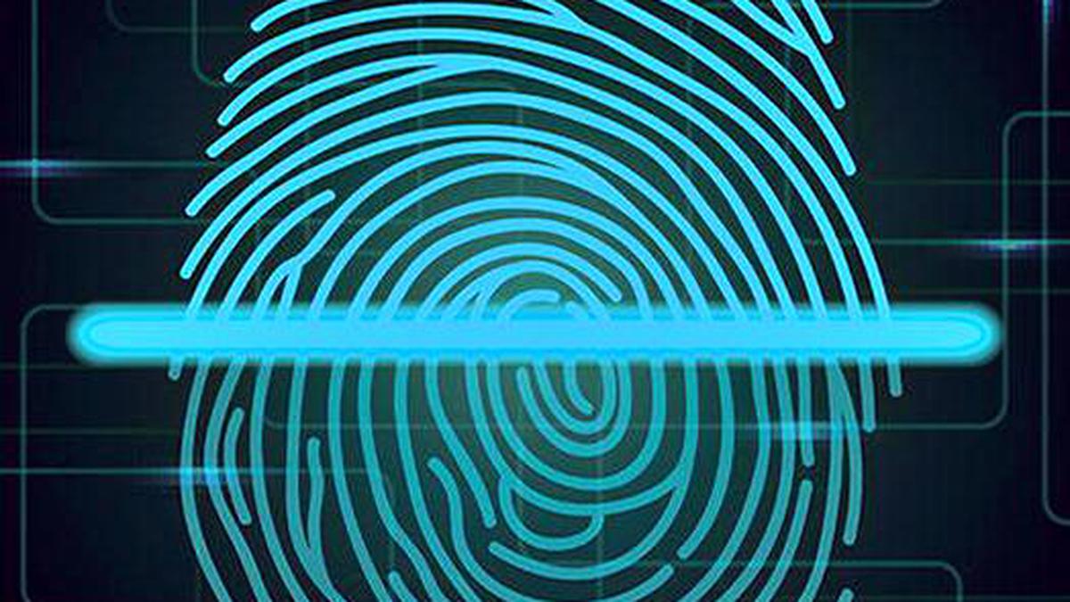 Question Corner: What is the use of fingerprints for our body?