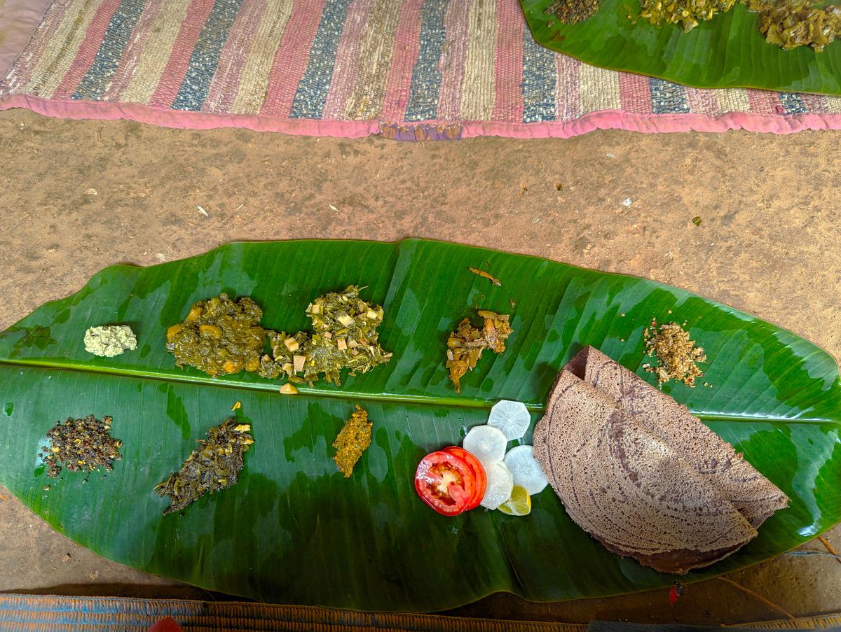 On a banana leaf, we were served wild food that is all grown inside the forest.