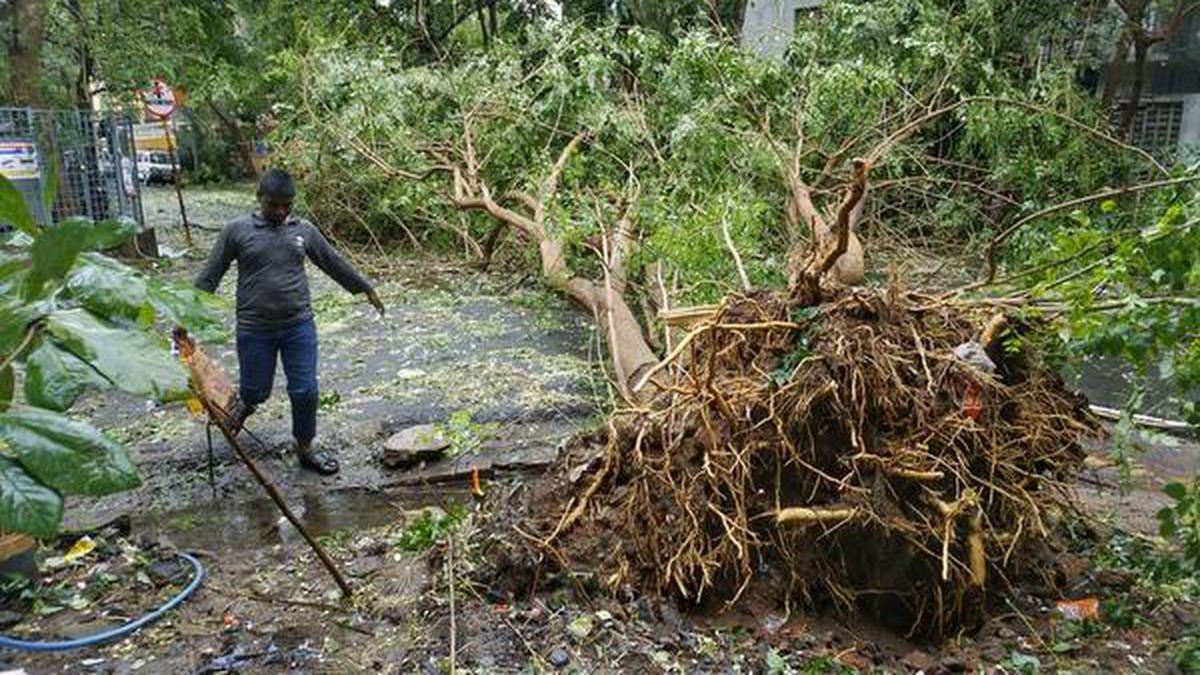 One dead, trees uprooted as Nivar makes landfall near Marakkanam