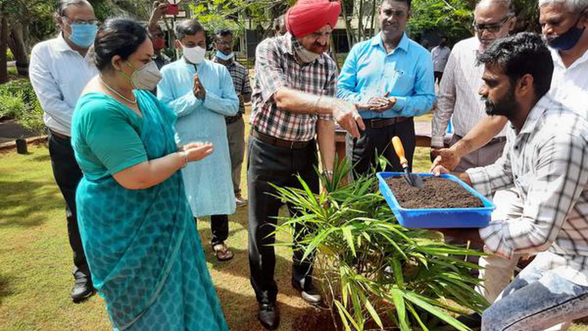 Pondicherry University sets up Mahatma Gandhi Park