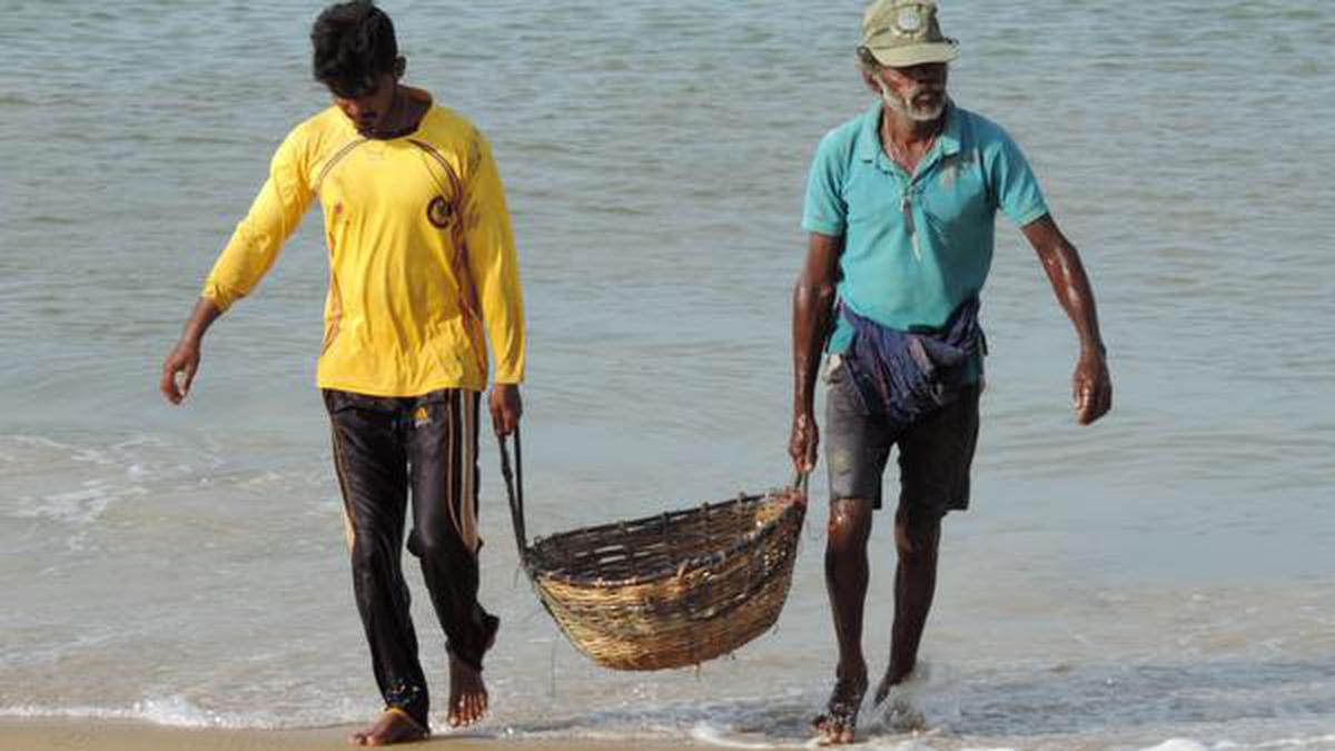 Northern Sri Lankan fishermen seek India’s action over disputes