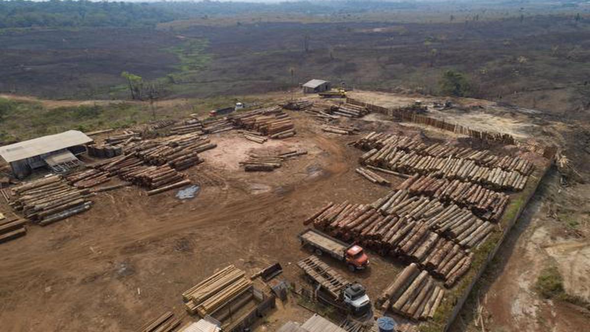 Brazil’s environment ministry to stop fighting deforestation in the Amazon