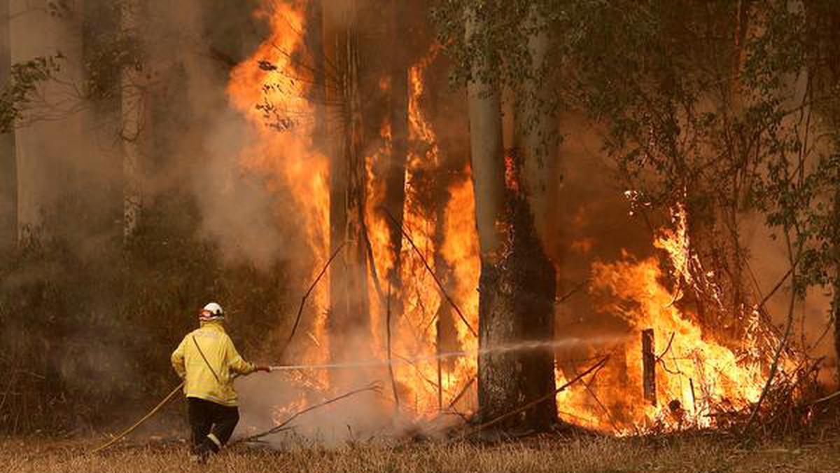 Fire continues to devastate Australia