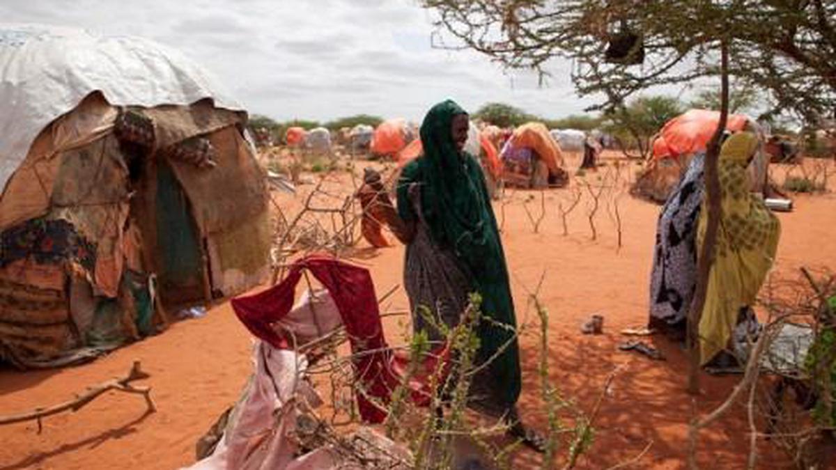 Starvation looms as food runs out in drought-hit Ethiopia - The Hindu