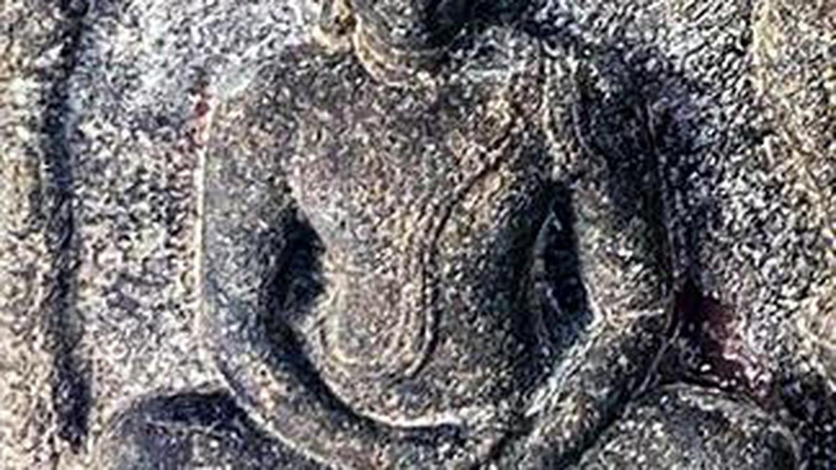 Buddha carvings noticed at temple complex in Telangana’s Alampur