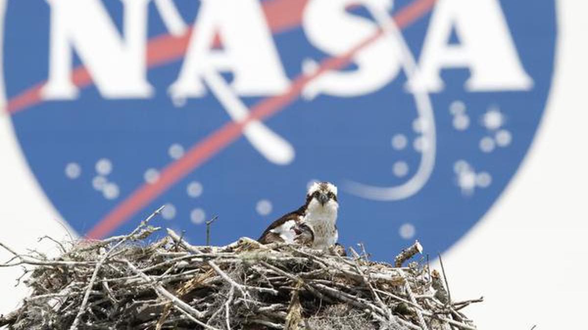 NASA halts SpaceX work on lunar lander after Blue Origin suit