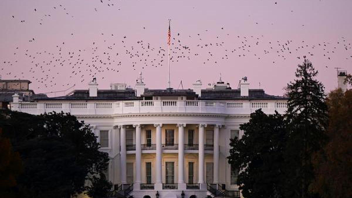 U.S. election result live | Yet to determine if "a winner is clear": federal agency delays Biden team's official transition