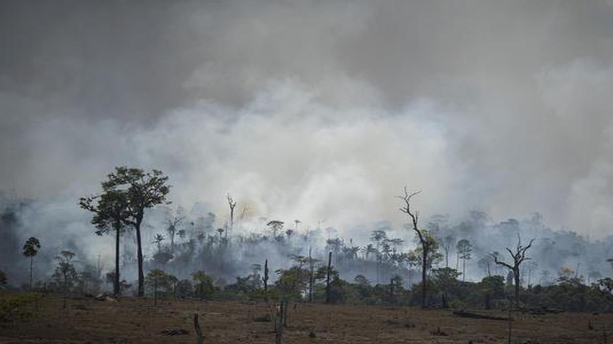 Respiratory ailments rise in Brazil as Amazon fires rage