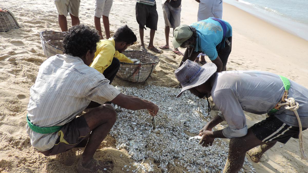 Sri Lankan Tamil fishermen urge Chief Minister Stalin to come up with a progressive solution to conflict