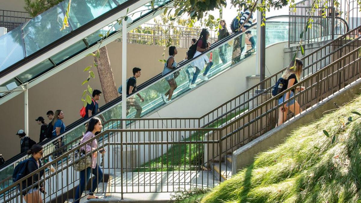 California University Board unanimously votes to recognise protection from caste discrimination