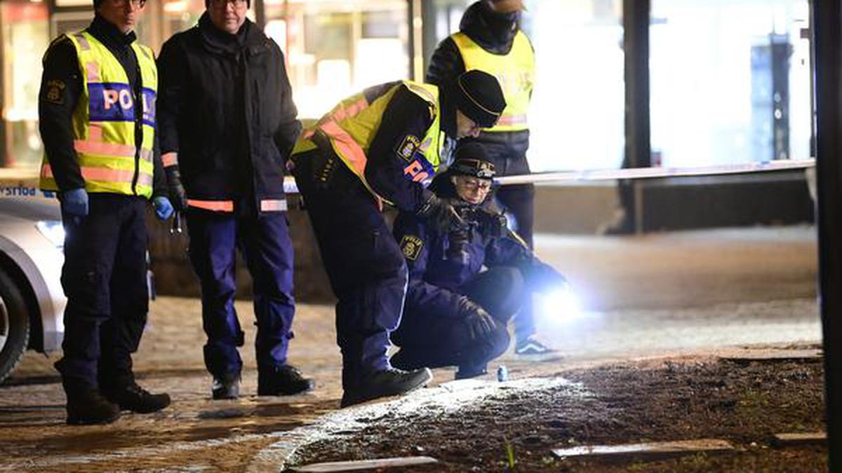 Man injures 8 with axe in Sweden before being shot, arrested