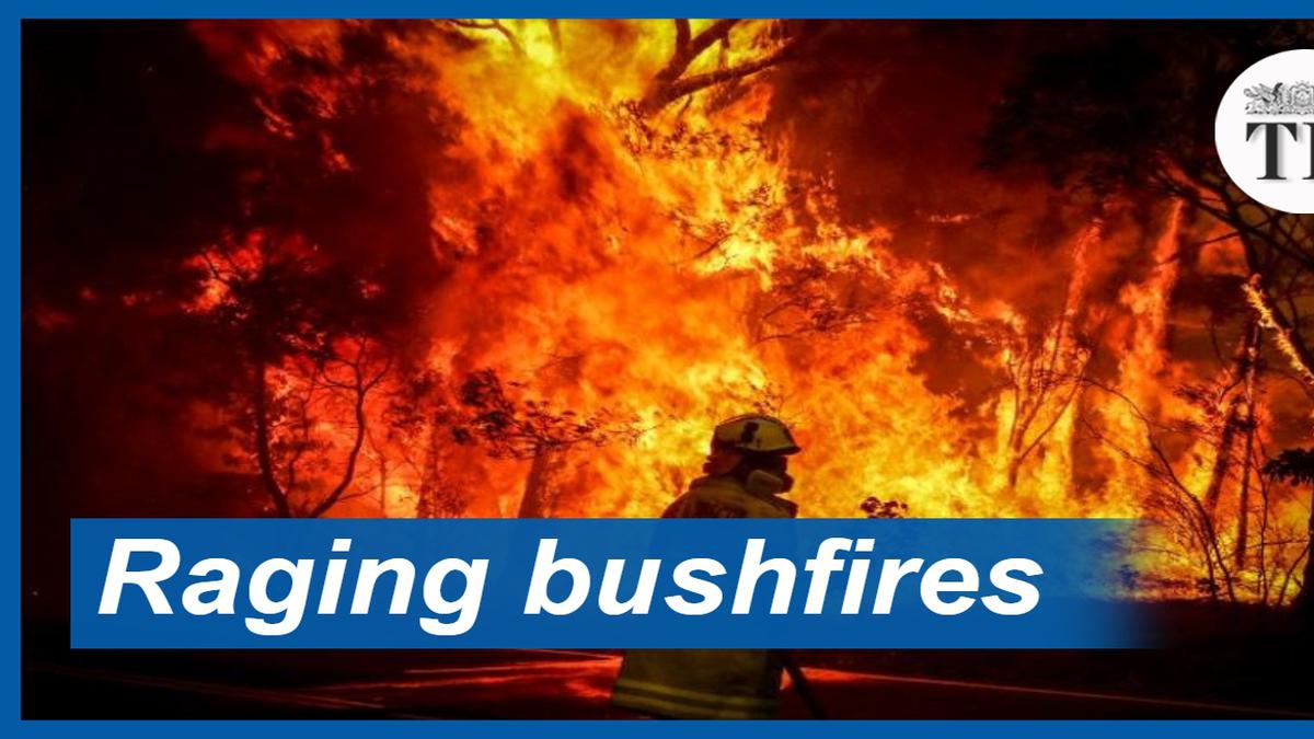 Watch | Massive bushfires across Australia