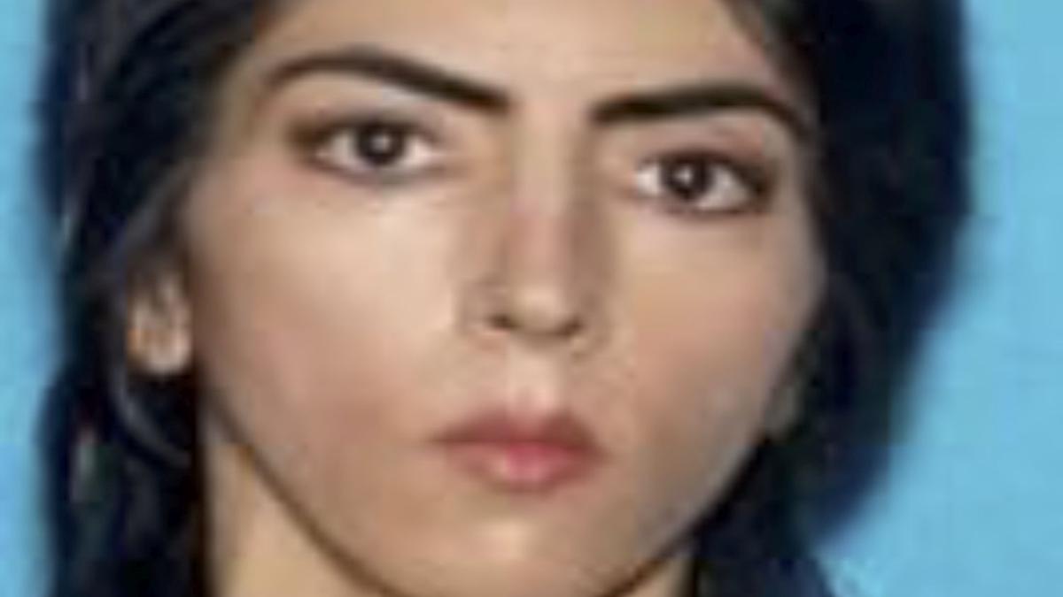 What We Know About The YouTube Shooter Nasim Aghdam - The Hindu