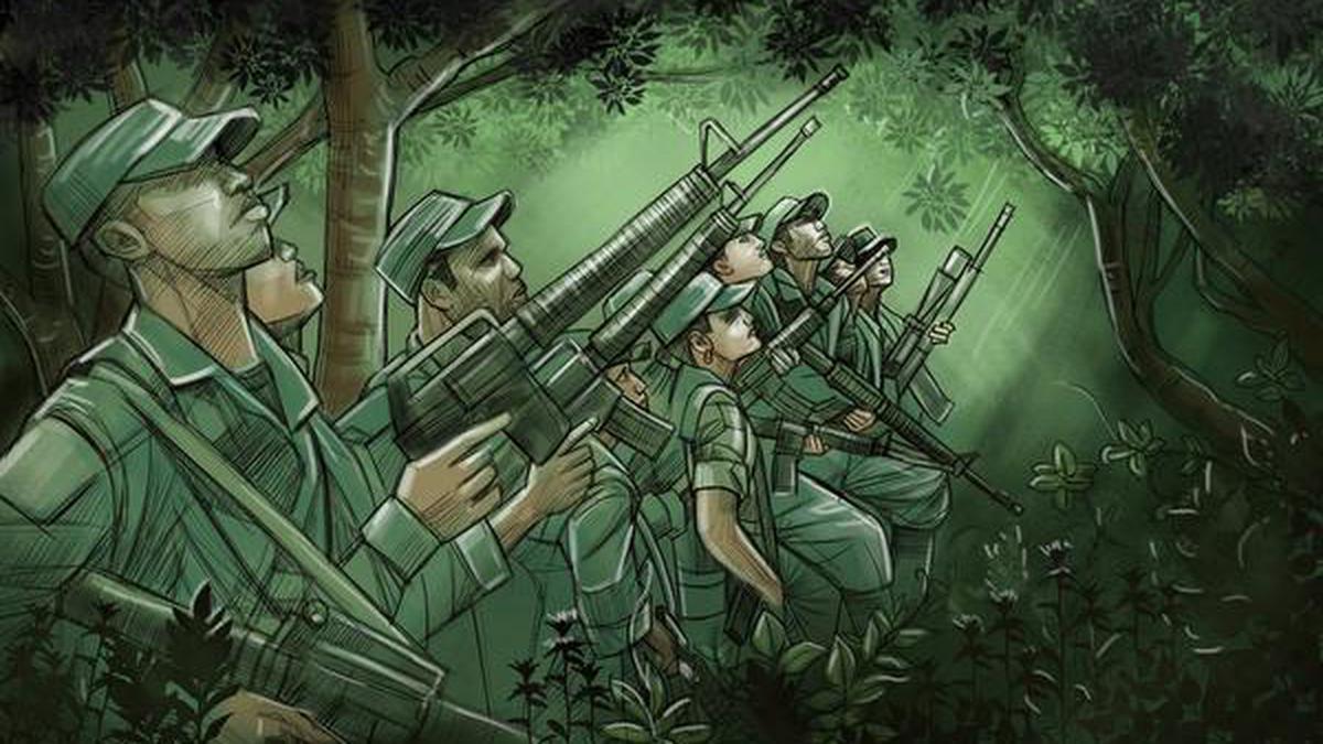 FARC | Five years of solitude for the ex-guerrillas