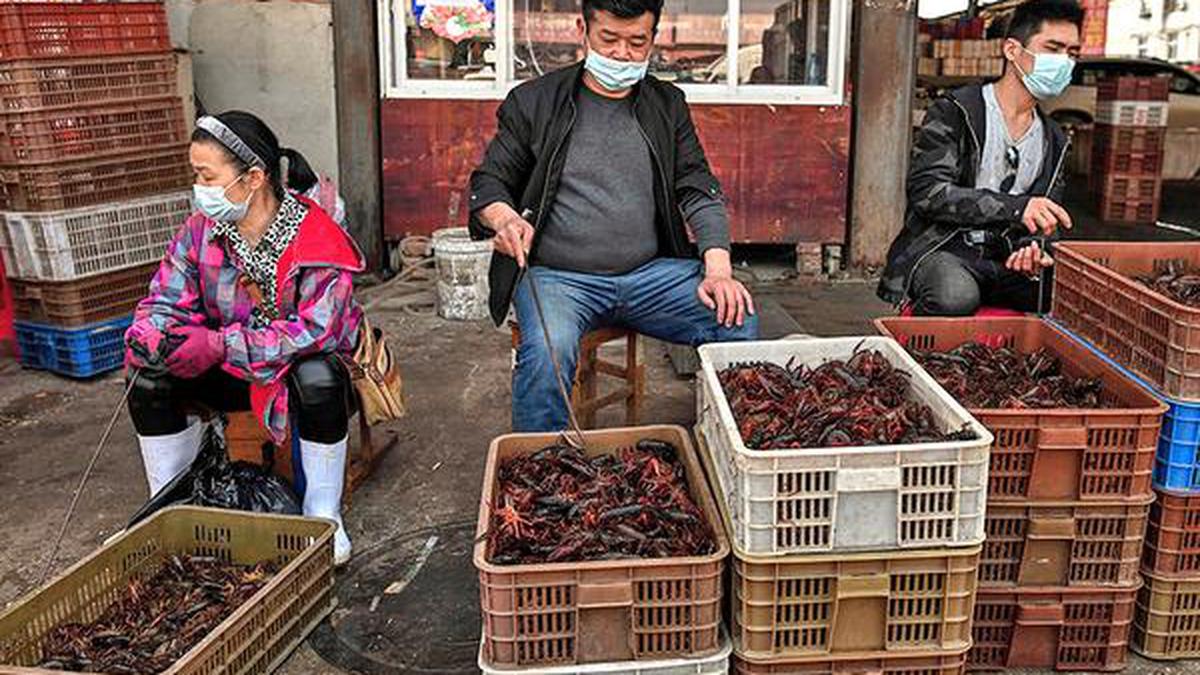 Wuhan’s ‘wet markets’ reopen, face heat