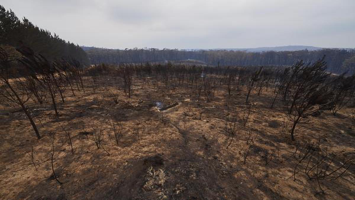 Australia’s leaders unmoved on climate action after devastating bushfires