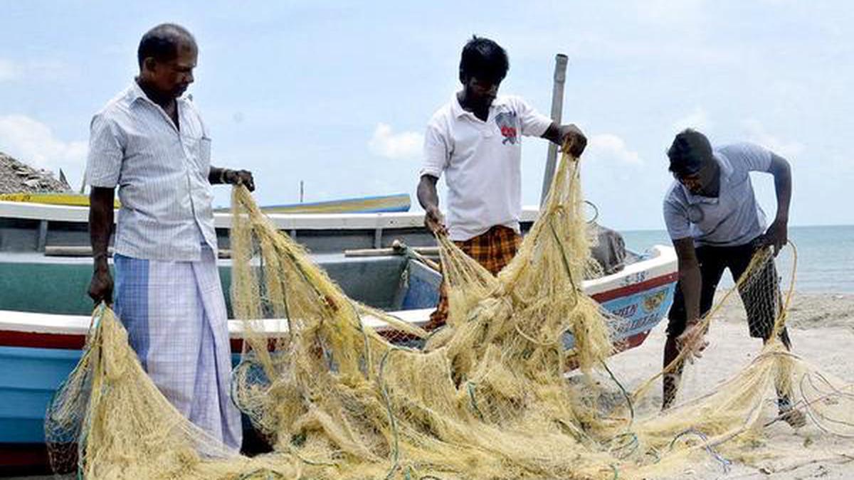 Indian trawlers are back, say Sri Lanka's fishermen