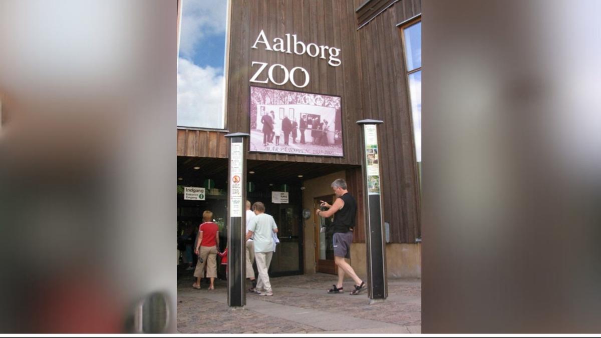 Denmark zoo asks people to donate their small pets as food for captive predators