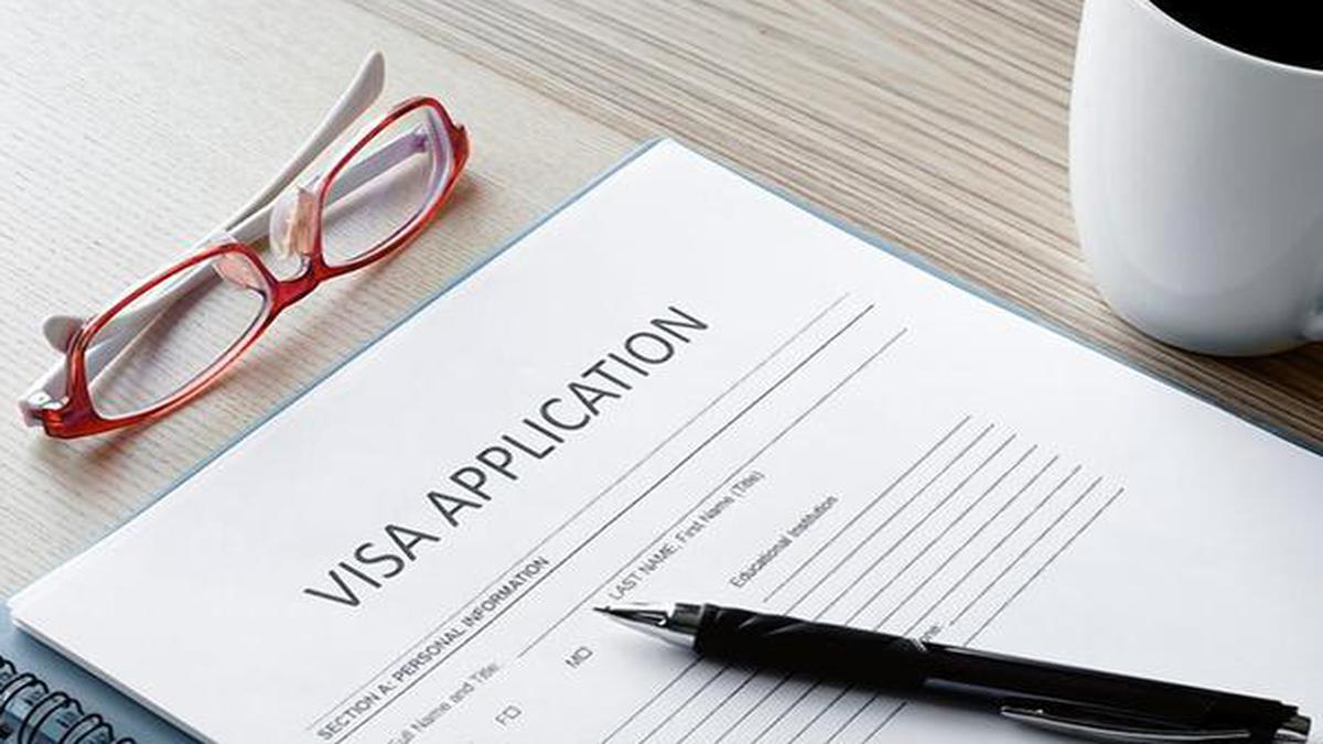 COVID-19 | All visas, OCI cards for foreign nationals outside India remain suspended