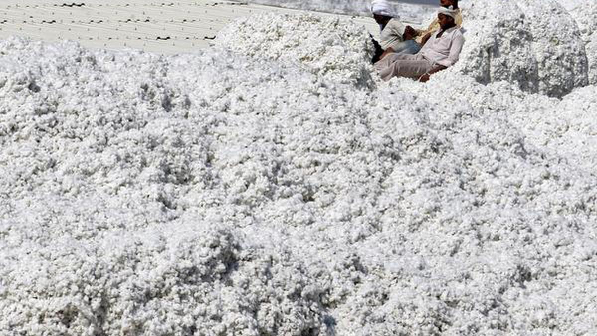 Pakistan’s textile industry upset as govt. rejects cotton import proposal from India