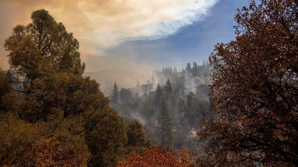 हजारों लोगों ने योसेमाइट के पास कैलिफोर्निया जंगल की आग से भागने का आदेश दिया