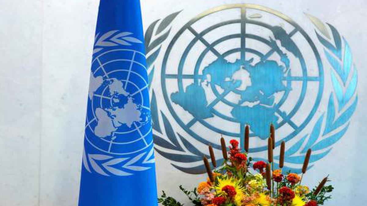 Coronavirus | UNGA adopts resolution, calls for global cooperation to fight pandemic