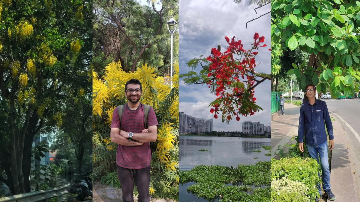 How social media is being used to build bridges between people and urban biodiversity