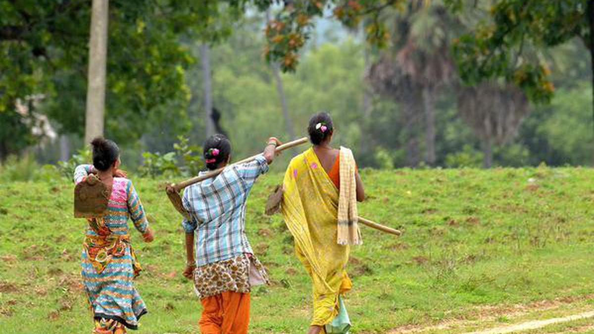 Over 38% FRA claims for land rejected till November 2022: Centre to Lok Sabha