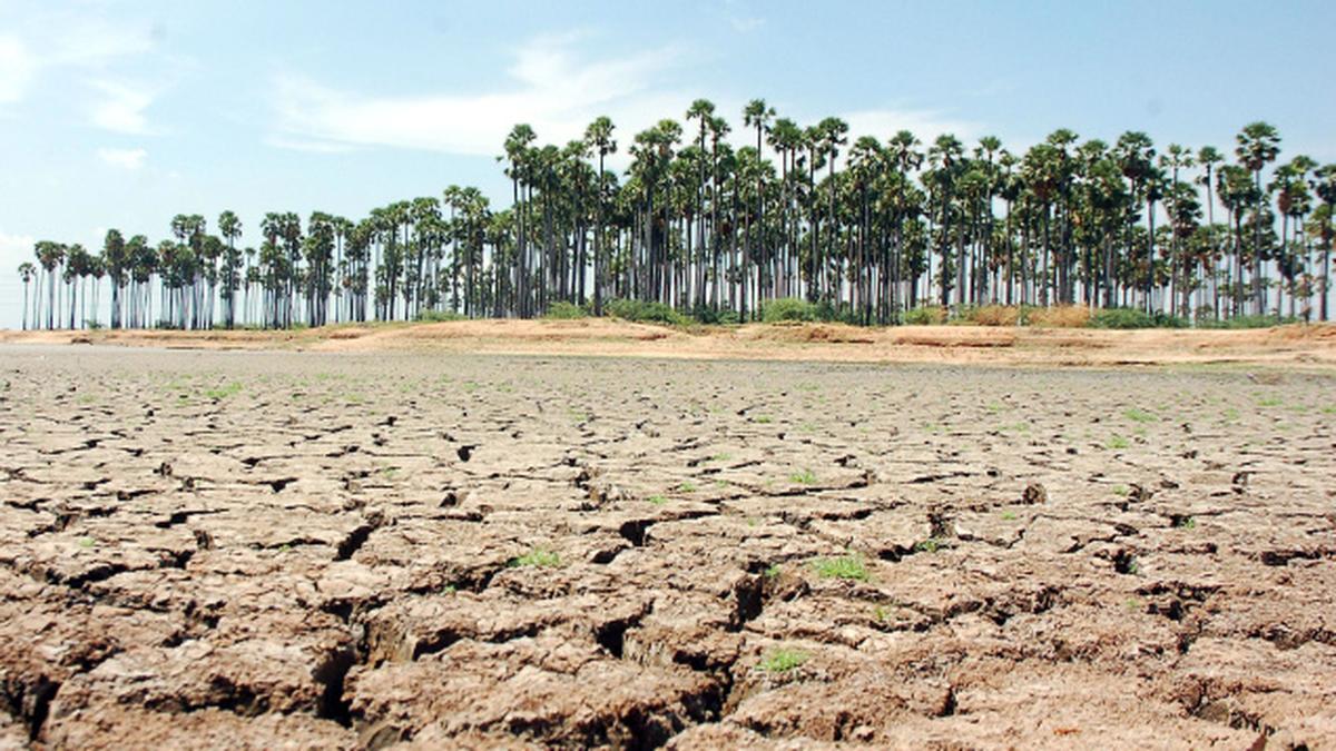 Gujarat facing massive water crisis The Hindu