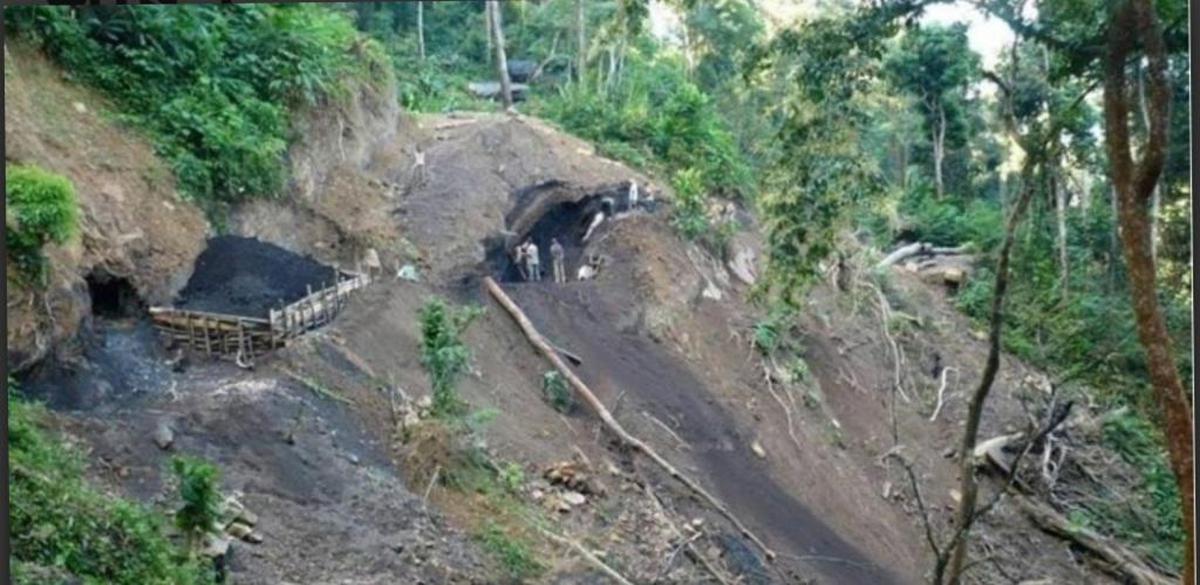 Illegal rat-hole coal mines in eastern Assam. 