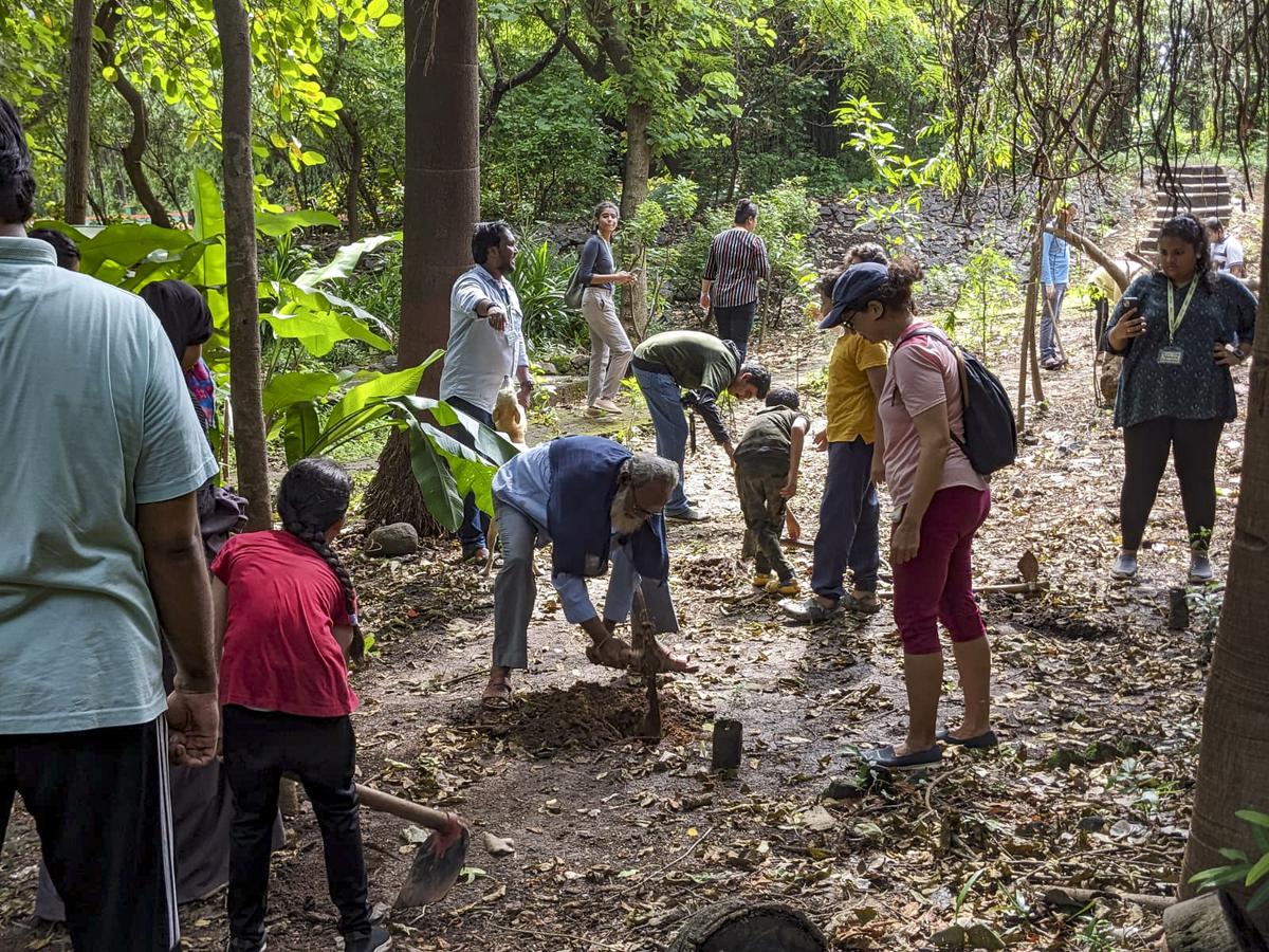 Participants in a Big Butterfly Month event at Maharashtra Nature Park plant butterfly-host trees under the guidance of the park gardeners, in Mumbai on September 10, 2023.