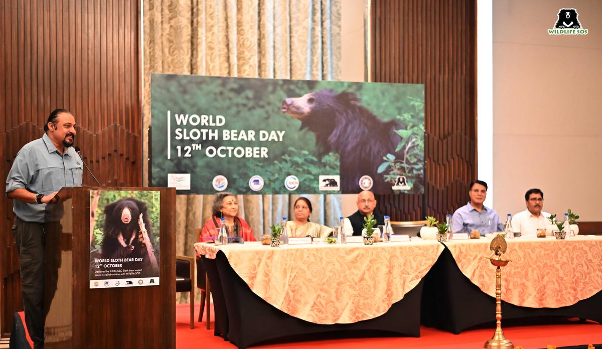 Experts call for protection of sloth bear on first World Sloth Bear Day