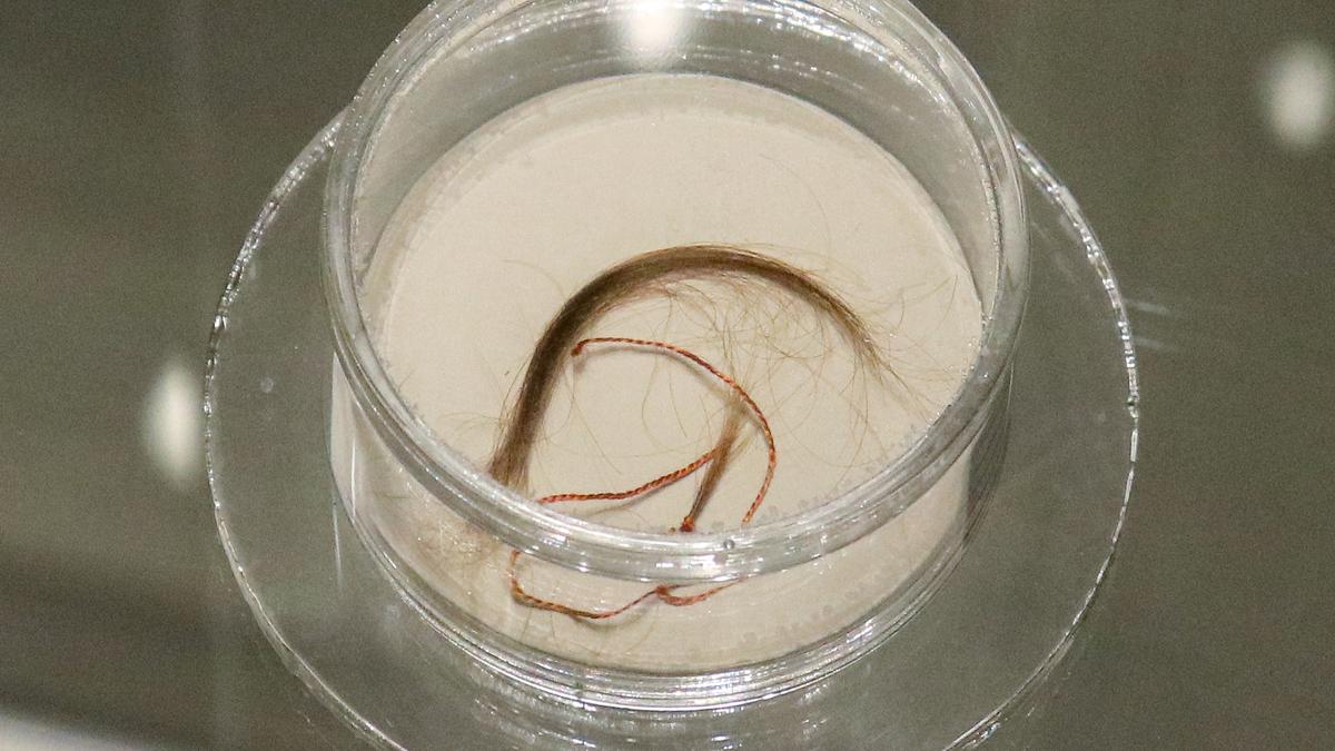 Late Bronze-Age hair reveals recreational drug use in Western Mediterranean
Premium
