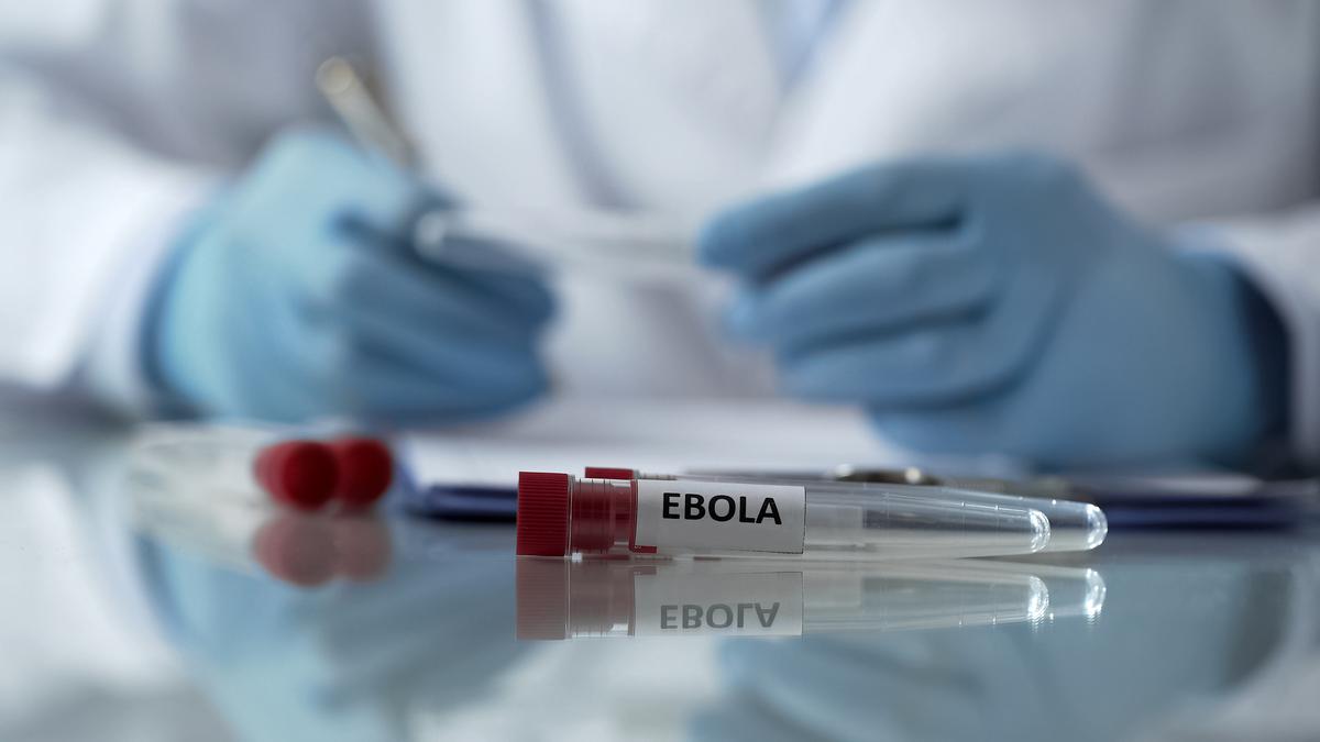 Collaboration with India will help counter ‘future pandemics’, says African Union as Ebola outbreak spreads