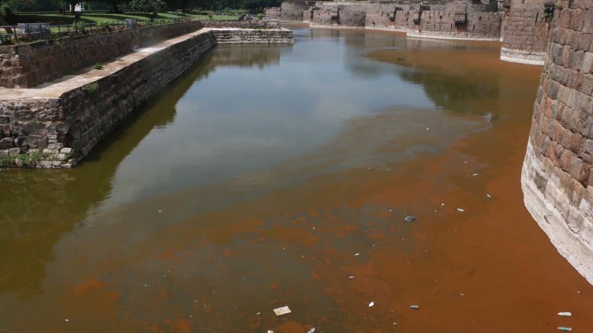 ASI to seek State government’s help to remove algae from Vellore fort moat