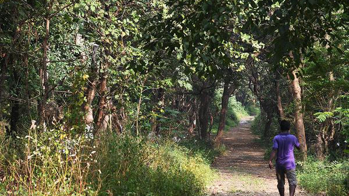 Aarey land handed over to Maharashtra Forest Department, SGNP