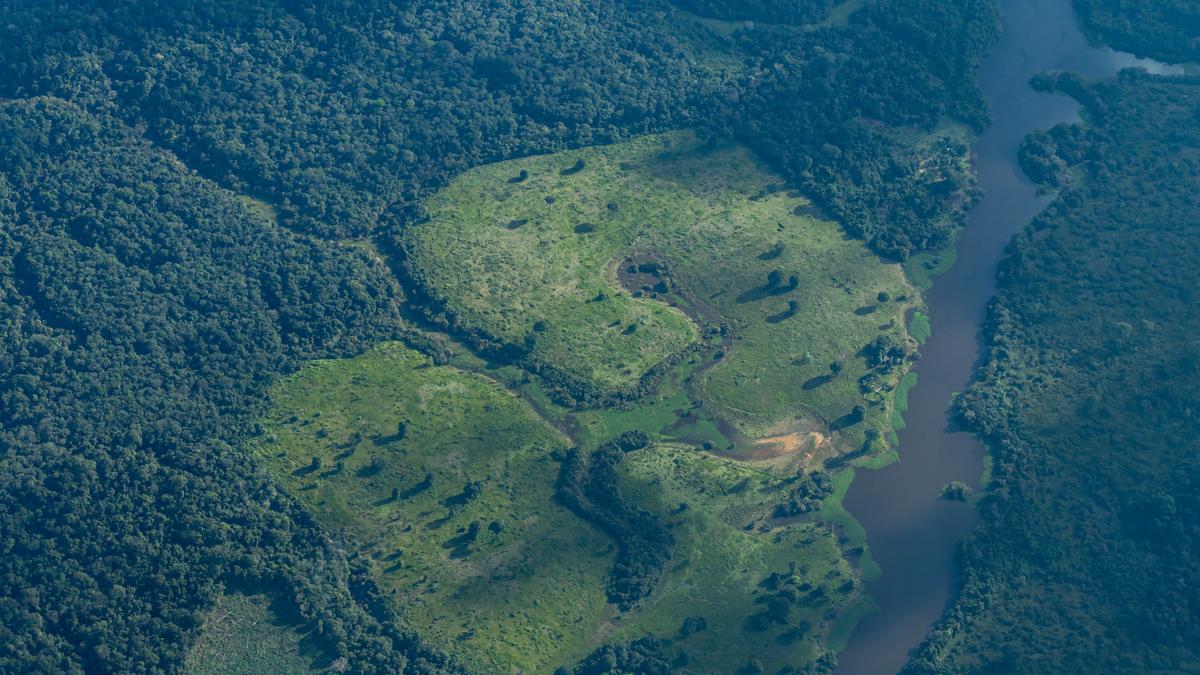 What remote-sensing reveals about plants, forests, and minerals from space
Premium