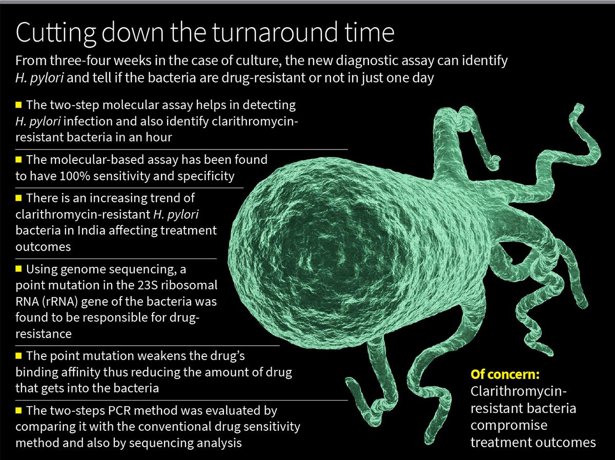Detection of multidrugresistant H. pylori Dhi Academy
