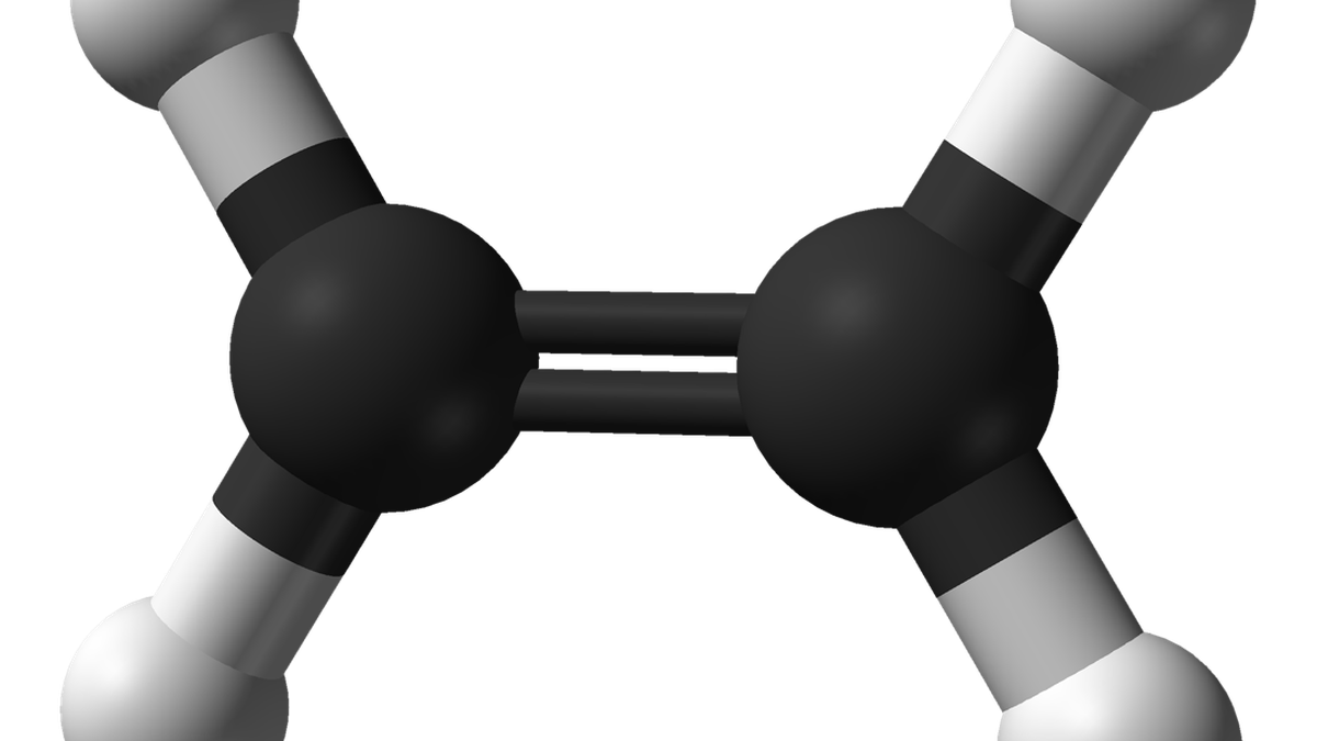 The Science Quiz: The science hidden in proverbs and idioms