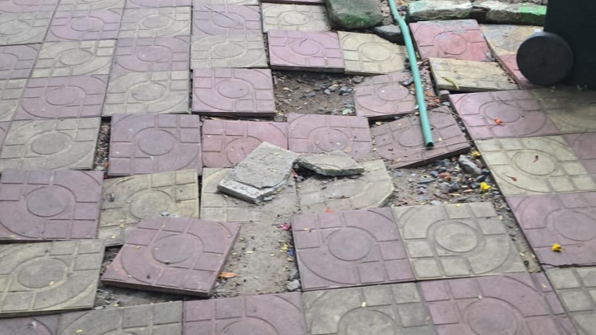 Bougainvillea Park in Anna Nagar East continues to be neglected, say residents
