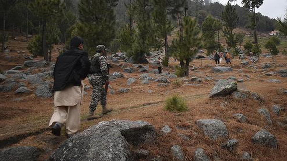 MPs’ panel raises questions on Balakot