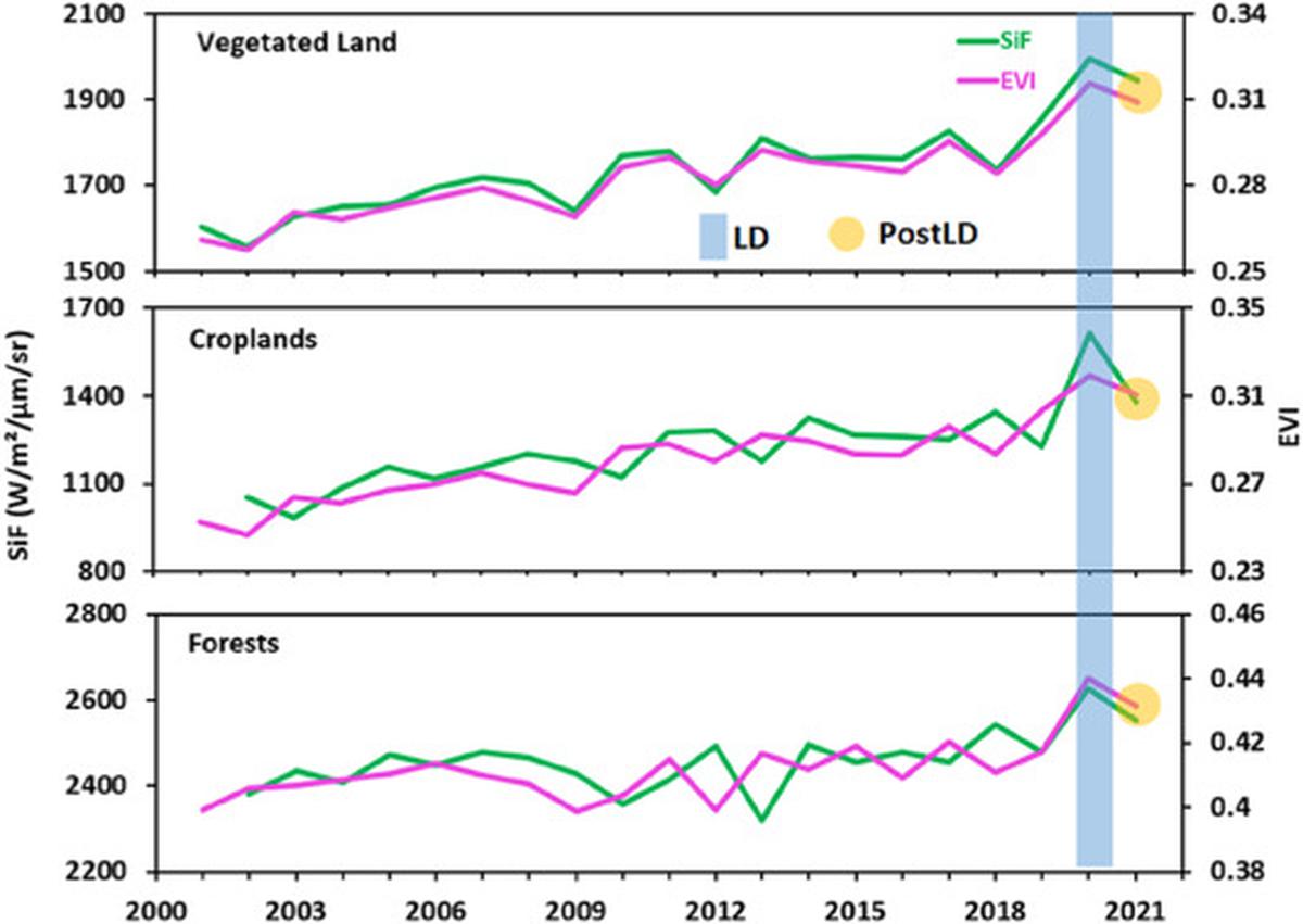 Enhanced Vegetation Index (EVI) and Solar Induced Fluorescence (SiF) for vegetated land, croplands, and forests averaged over March–September in 2000–2021.