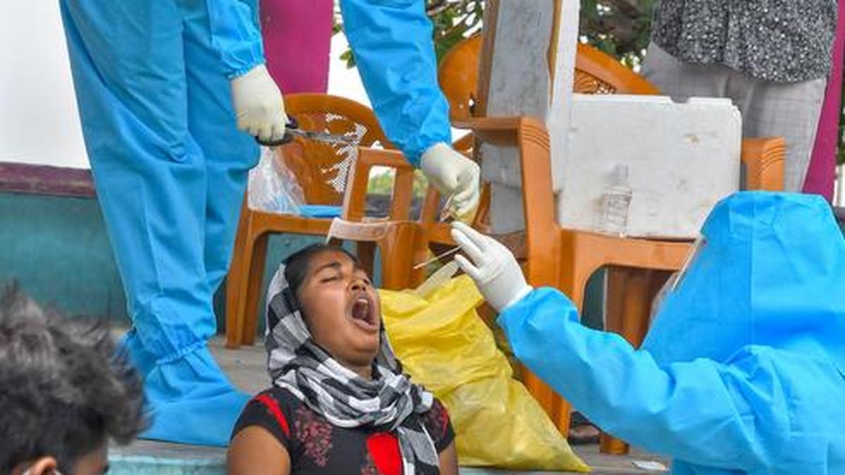 12 new cases take COVID19 tally to 238 in Vizag The Hindu