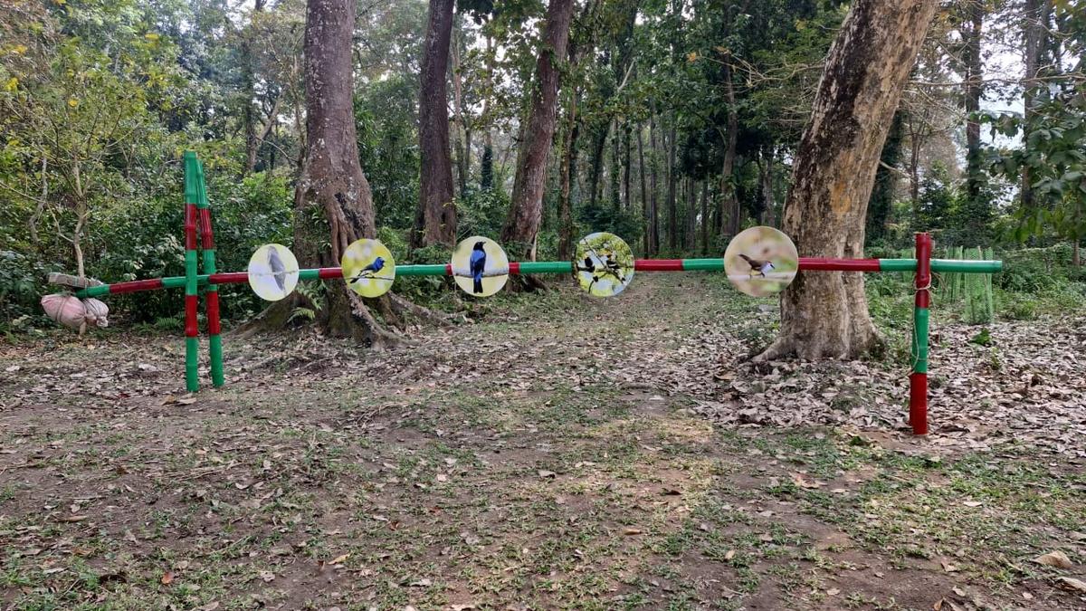 Assam forest for birdwatchers reopens after 16 years